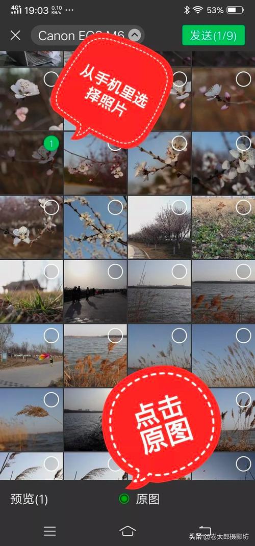 微信的水印相机在哪里,怎么用?