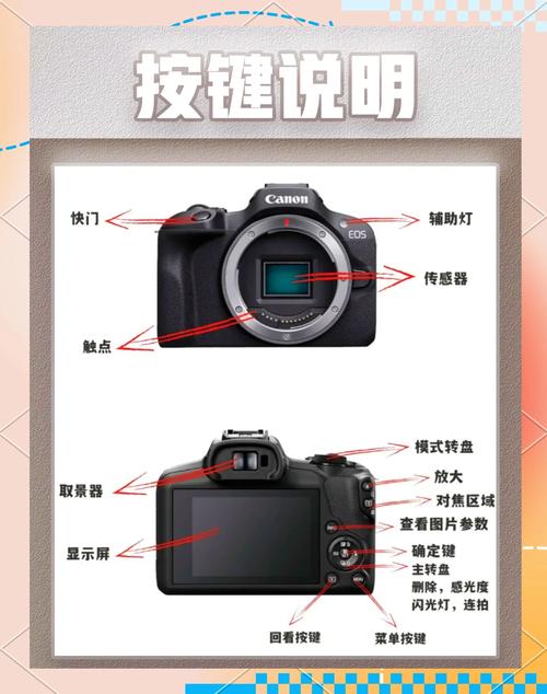 佳能相机怎么与电脑连接拍摄?