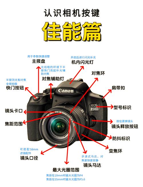 佳能相机拍照按键是哪个图1