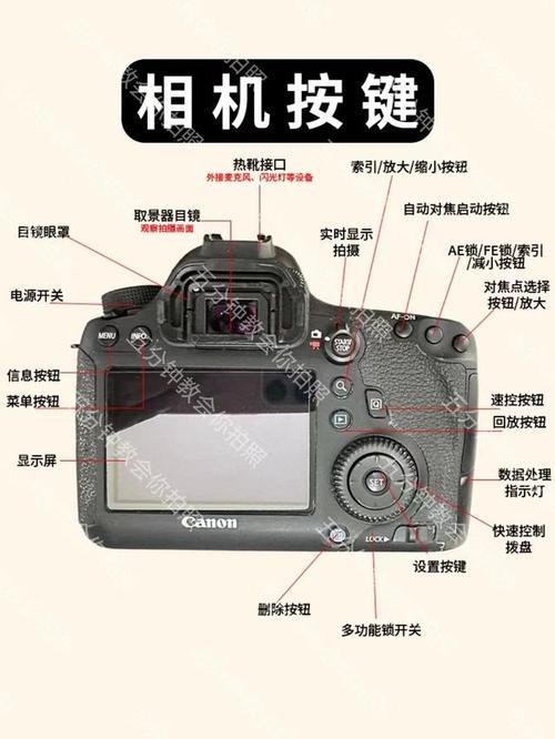 佳能相机拍照按键是哪个图3