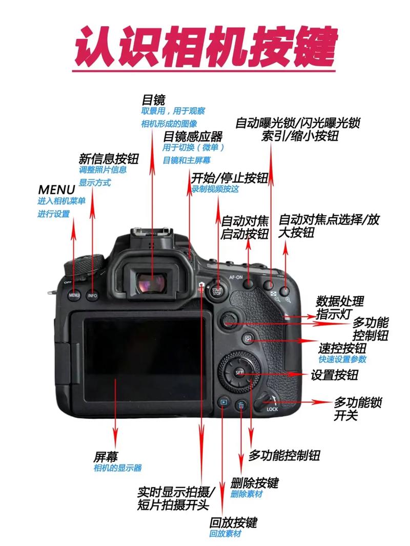 佳能单反按哪个照相