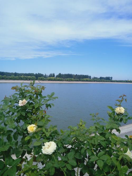 高级纯色背景图片渐变图2