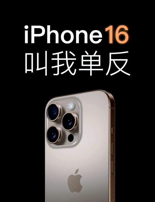 苹果相机拍照如何显示时间地点图3