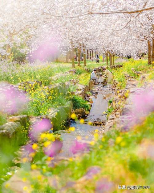 如何用手机拍风景照好看的技巧图1