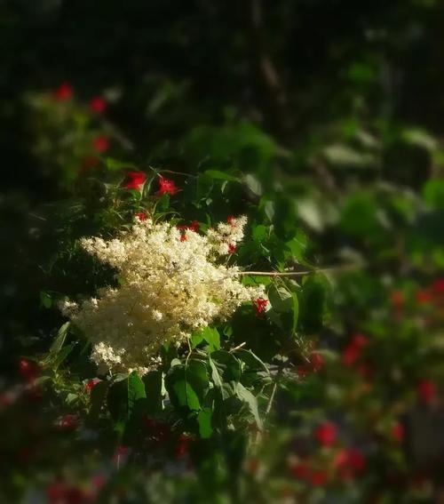 适合投影仪拍照的背景图图1