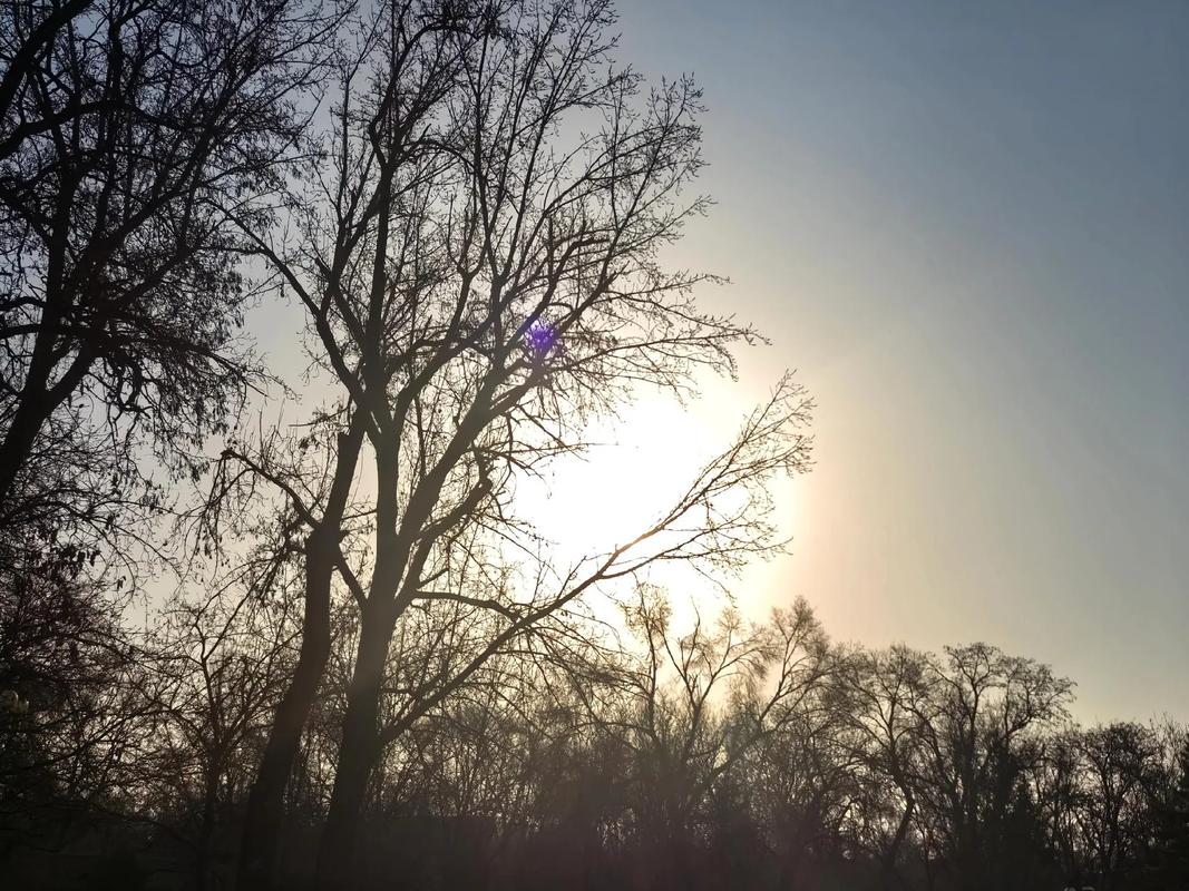 华为手机相机丢了怎么办图1