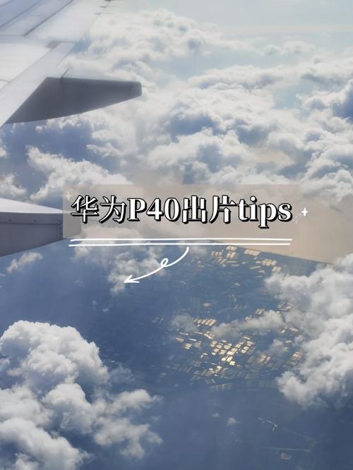 华为p40手机拍照技巧在哪图2