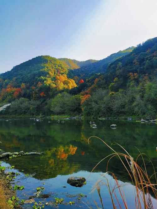 千元手机拍照效果最好的手机图3