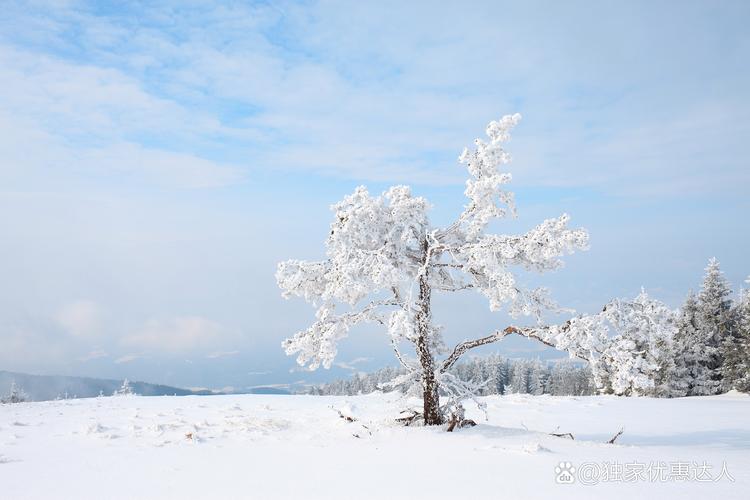 怎样拍出一张好看的雪景照?