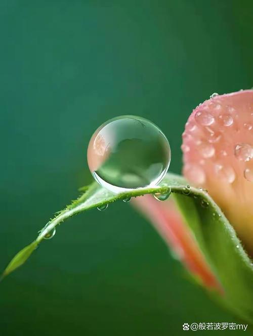 手机摄影原来这么拍图3