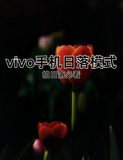 哪个相机拍照可以显示时间地点和日期图1