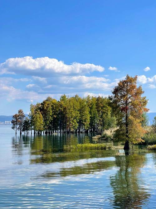 苹果手机拍照显示时间地点怎么弄可以改其他国家吗图3