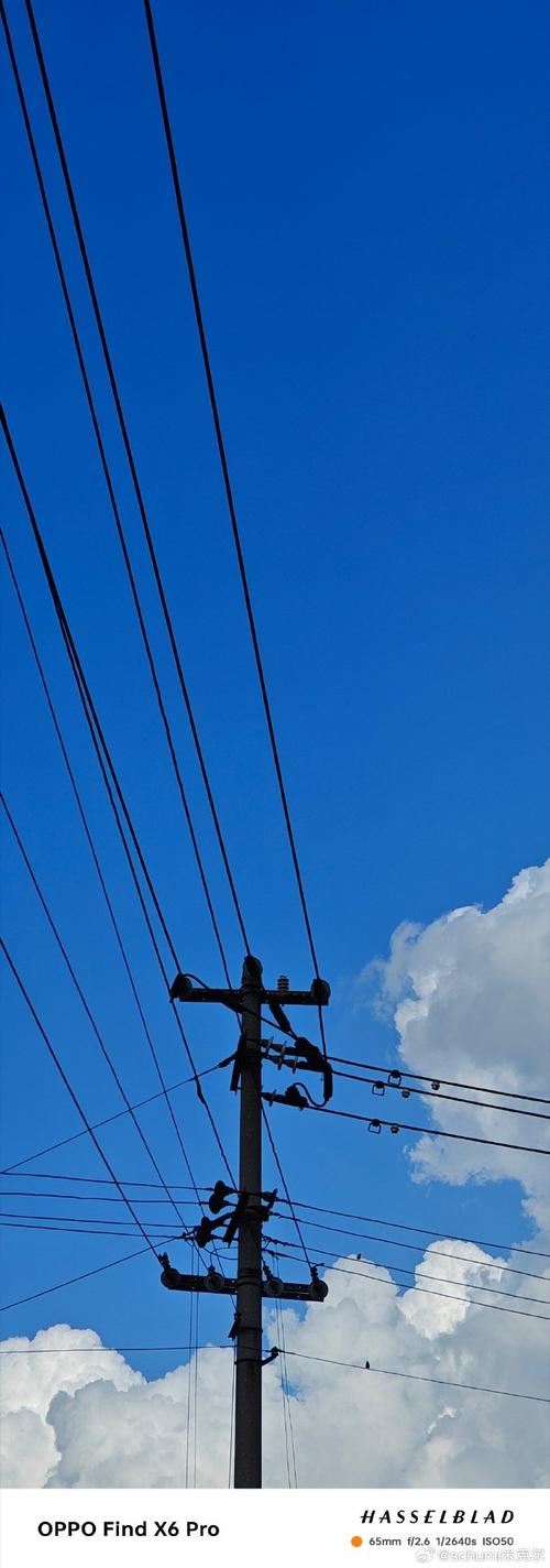 哪种手机拍照好看?图2