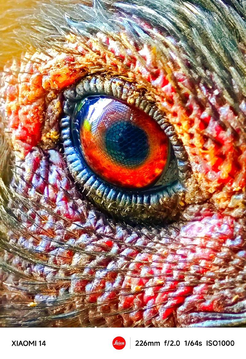 手机怎么拍照显腿长显瘦图3