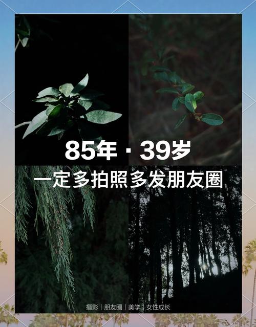 关于摄影的朋友圈文案