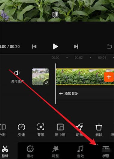 怎么把一张照片做成视频的背景图2