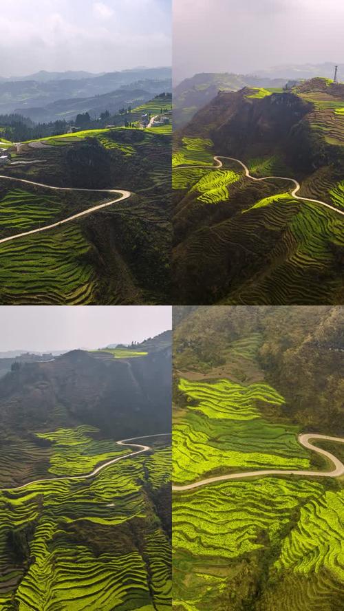 怎么把一张照片做成视频的背景图3