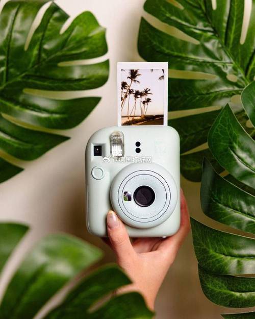 哪款照相机好图3