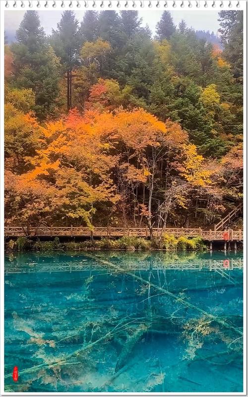 2023公认最好拍照手机