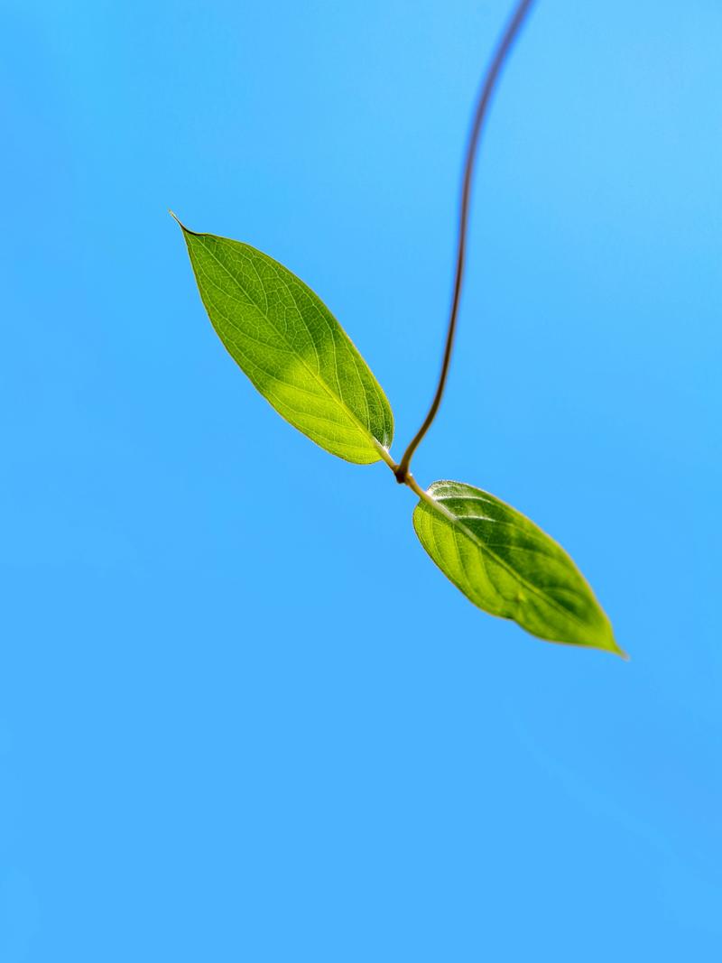 室内背景图片大全高清图片图3