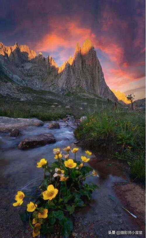 手机双景拍摄怎么拍