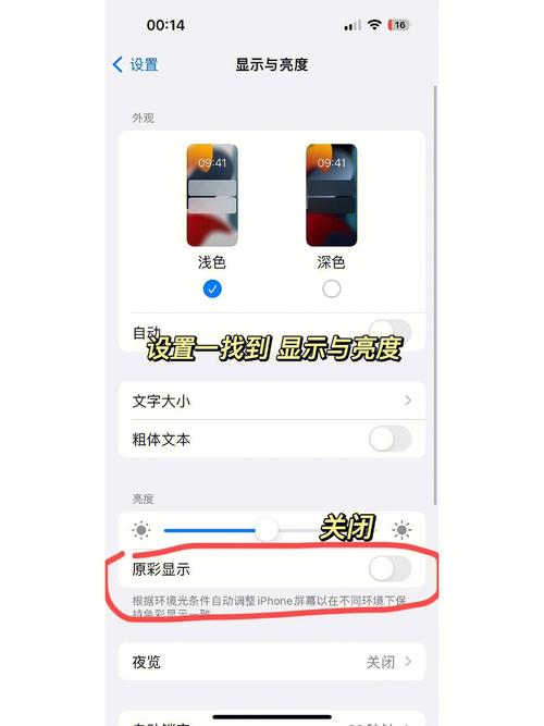 苹果14原相机在屏幕上没有了怎么找回