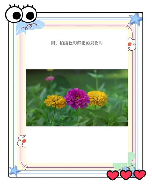 手机相机hdr功能是什么意思图2