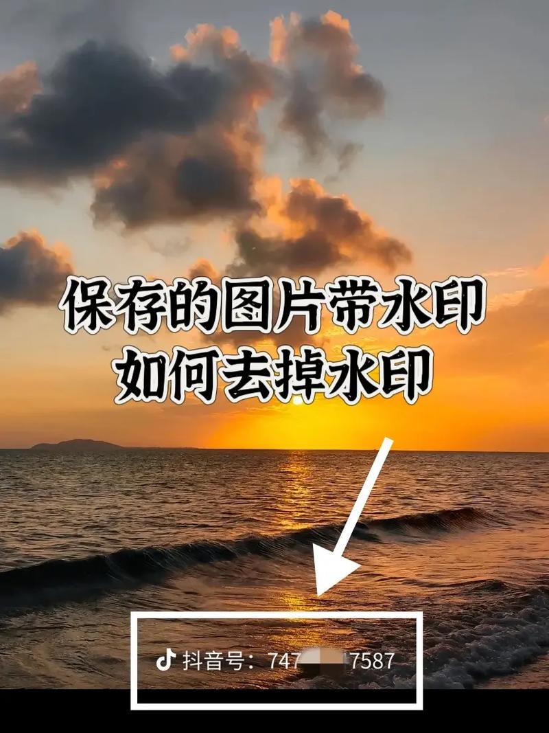 今日水印相机如何同步到微信图1