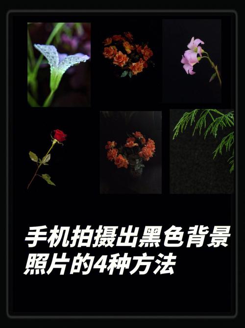 拍照时专用的背景图图2