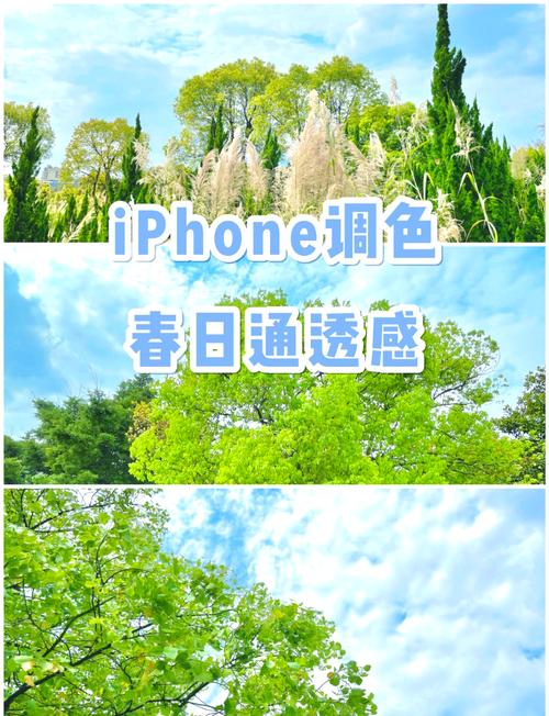 手机拍植物花卉用什么功能图1