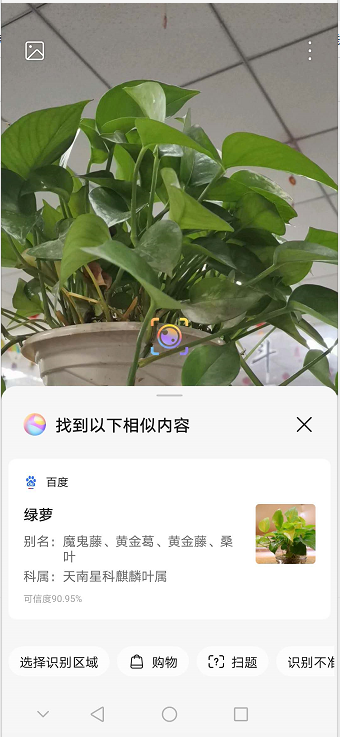 华为识别植物怎么打开
