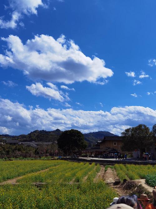 手机摄影技法图2