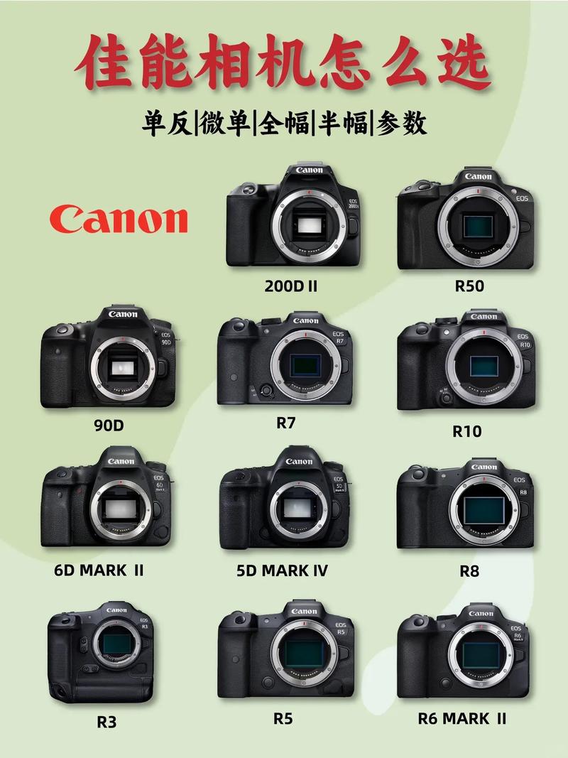 佳能相机拍照带日期