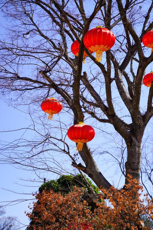 新年照片怎么拍好看