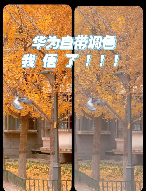 怎样用华为手机拍出来好照片