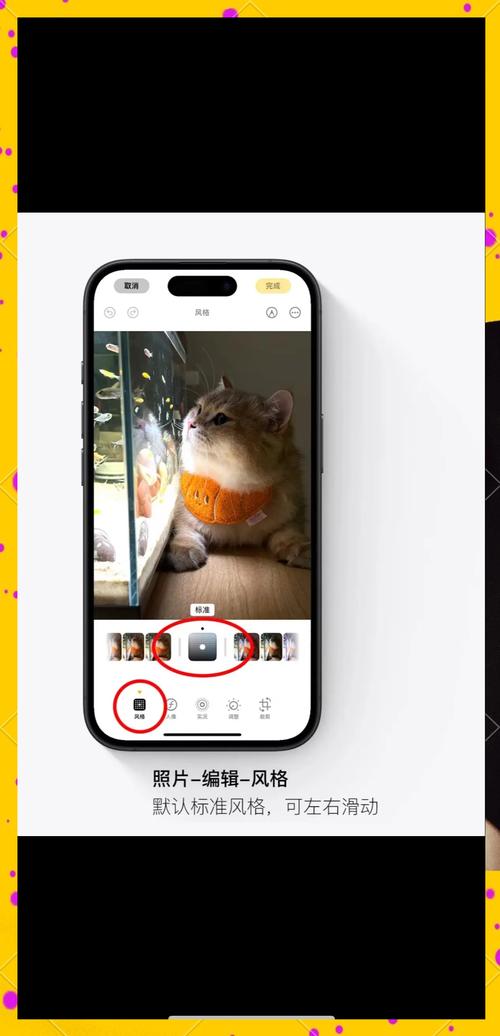 手机拍照清晰度取决于什么图3