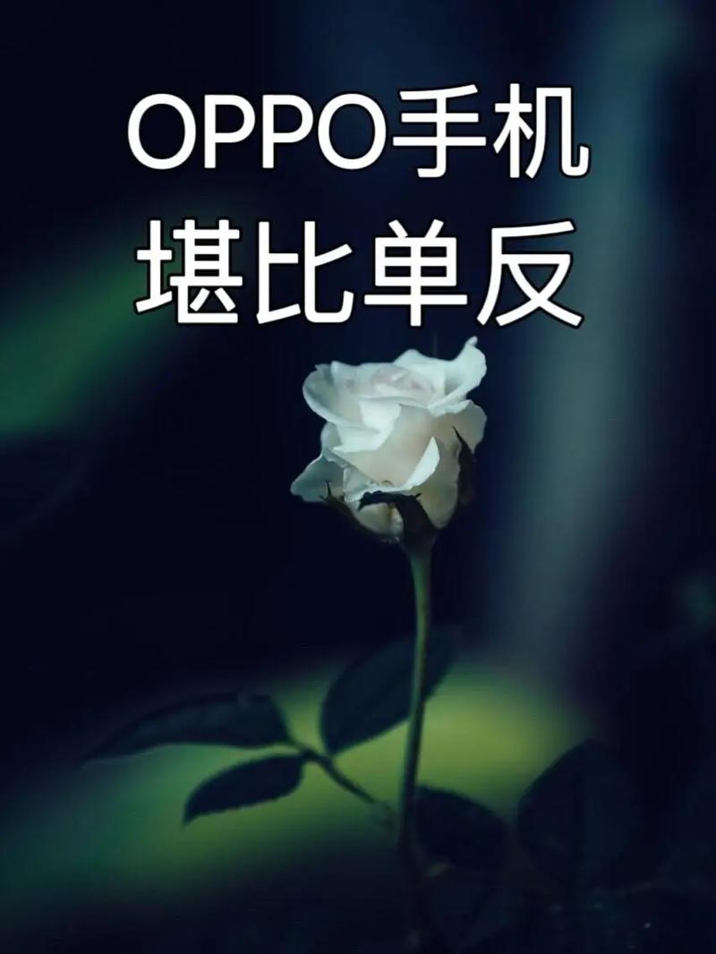 OPPO手机怎么拍摄带背景的照片