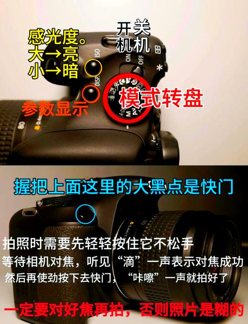 相机连接电脑实时拍摄的软件图1