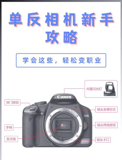 相机连接电脑实时拍摄的软件图3