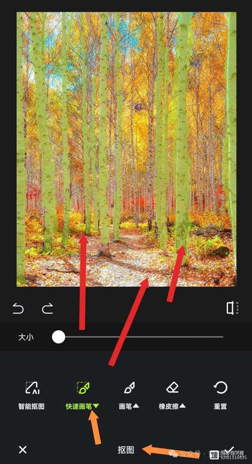 美图秀秀怎么把照片做成视频背景图的格式