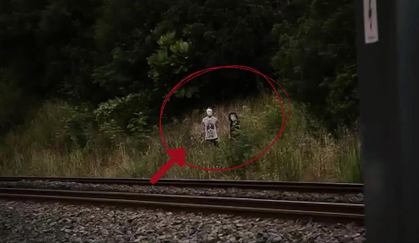 死亡照相机是什么意思呀图1