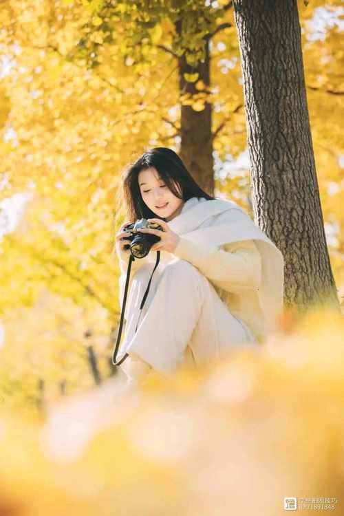 怎么帮别人拍照好看又上镜