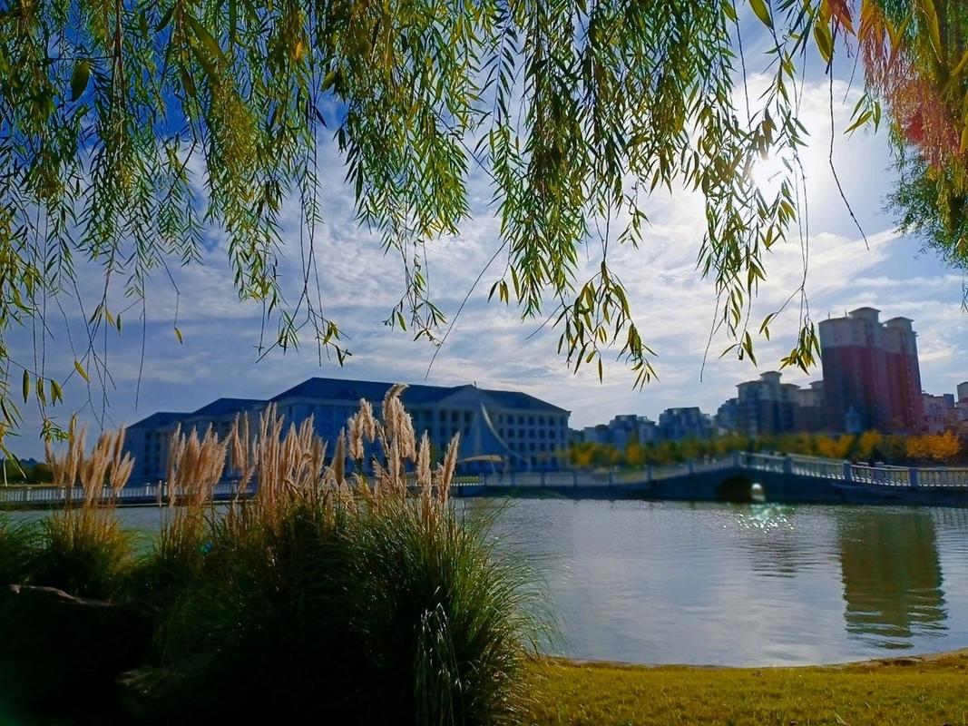 商丘师范学院艺术系的摄影专业怎么样?