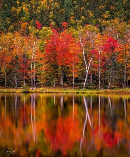 用手机拍风景照的技巧是什么图3