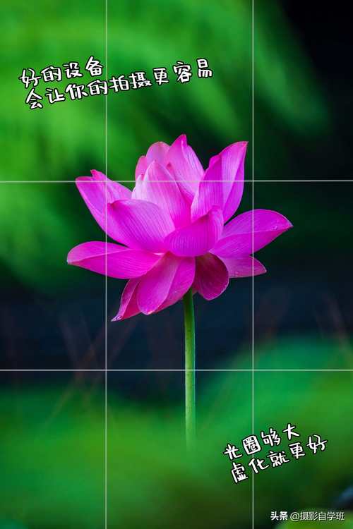 手机拍照角度技巧