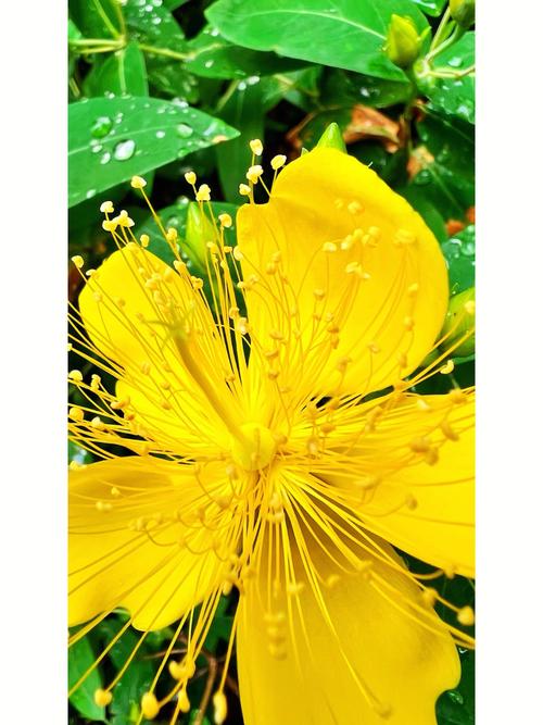 手机拍照三要素是什么图1