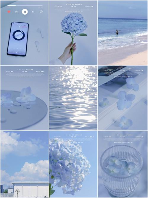 苹果手机怎么设置拍照浅蓝色底