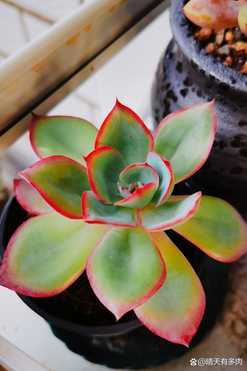 拍照背景墙图片图2