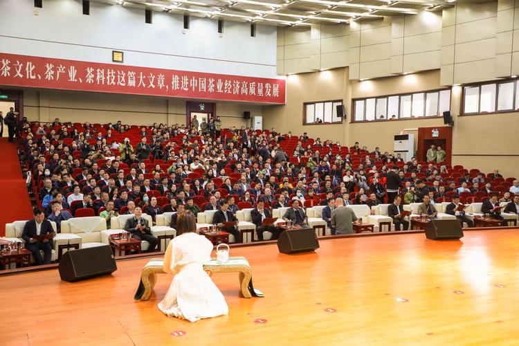 会议拍照角度怎么拍照好看图3