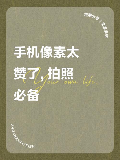 手机拍照最好的是什么牌子图3